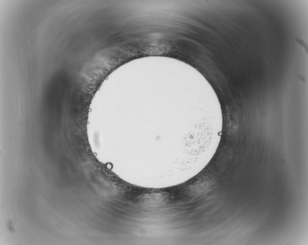 X0000103930307200810031305