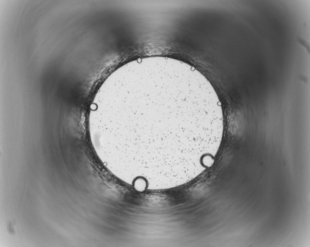 X0000103930308200810031305