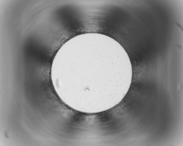 X0000103930309200810031305