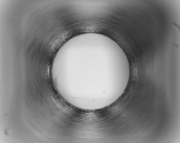 X0000103930310200810031305