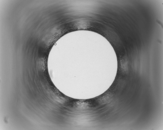 X0000103930311200810031305