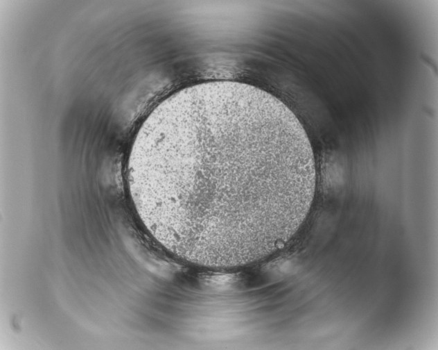 X0000103930312200810031305