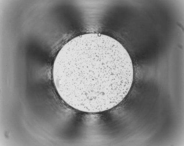 X0000103930313200810031305