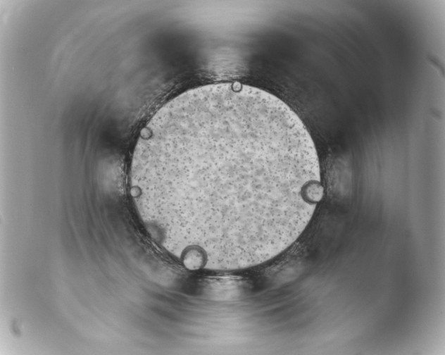 X0000103930316200810031305