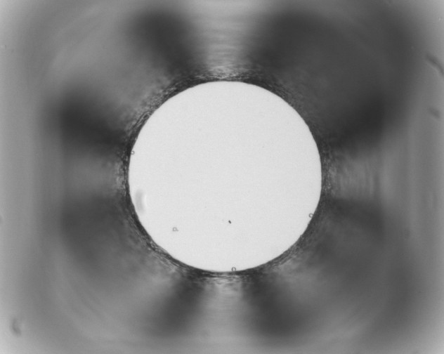 X0000103930317200810031305