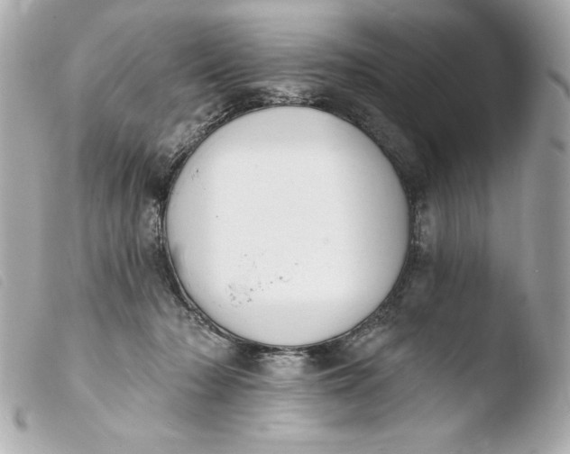 X0000103930318200810031305