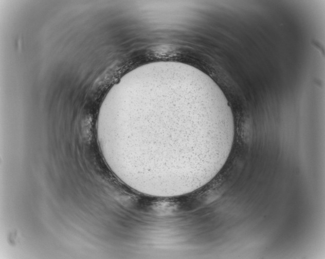 X0000103930319200810031305