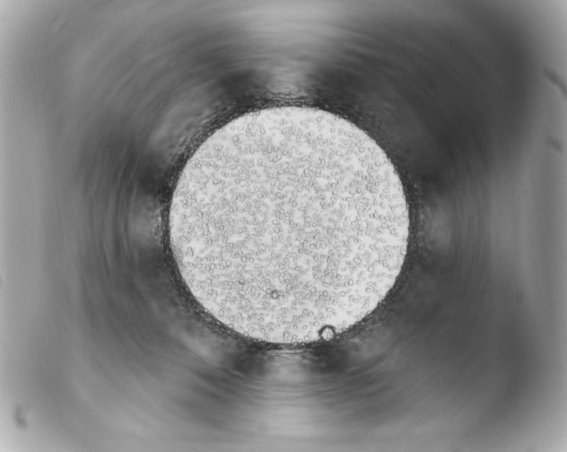 X0000103930320200810031305