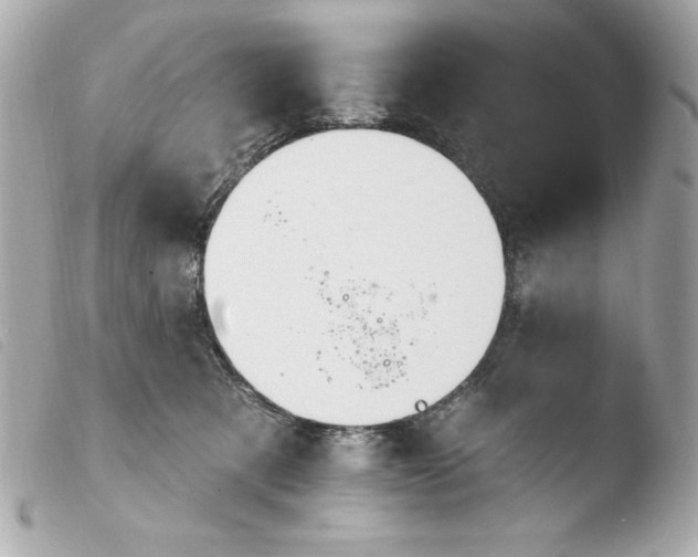 X0000103930321200810031305