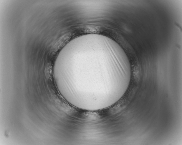 X0000103930322200810031305