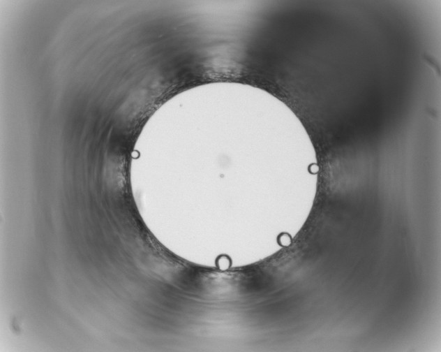 X0000103930323200810031305