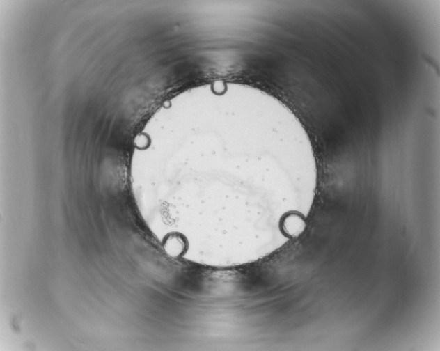 X0000103930324200810031305