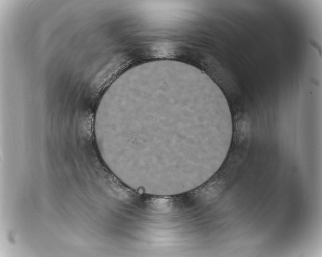 X0000103930325200810031305