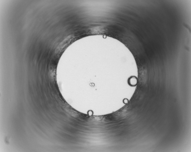 X0000103930329200810031305