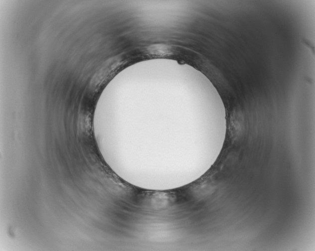 X0000103930330200810031305