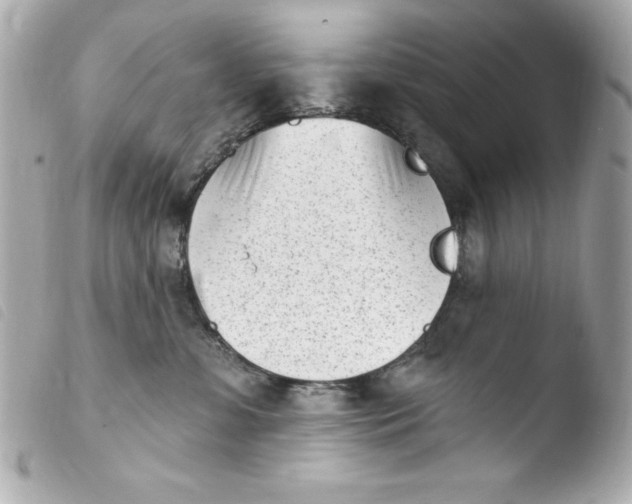 X0000103930331200810031305