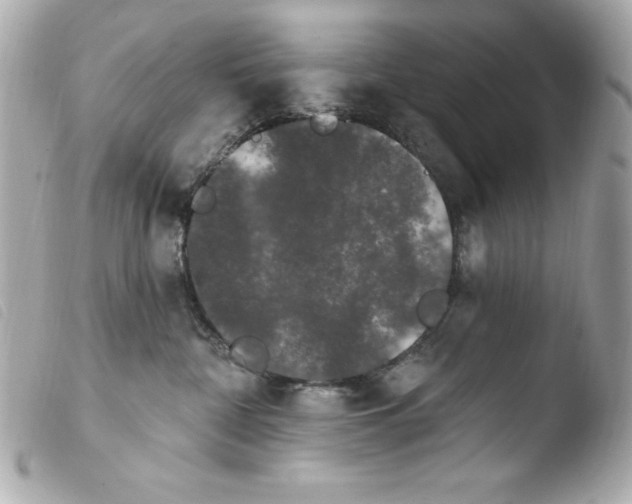 X0000103930332200810031305