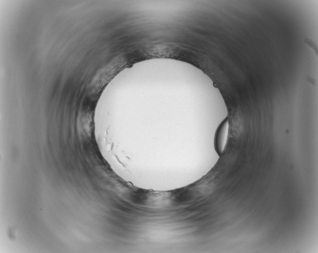 X0000103930334200810031305