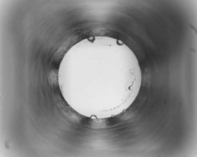 X0000103930335200810031305