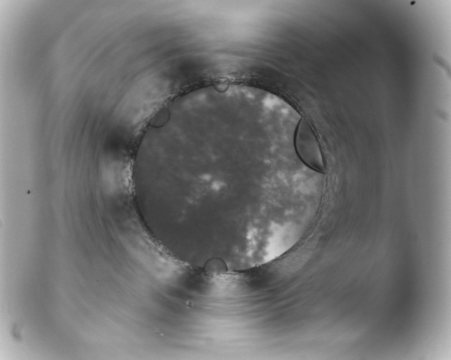 X0000103930336200810031304