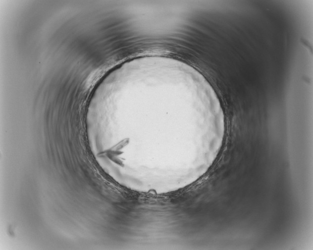 X0000103930337200810031304