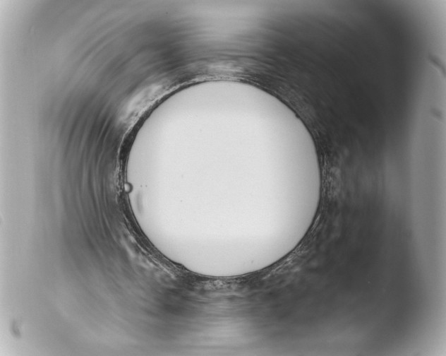 X0000103930338200810031304