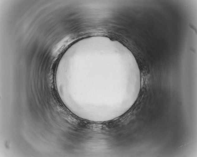 X0000103930339200810031304