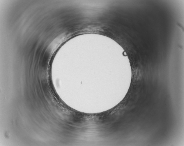 X0000103930340200810031304