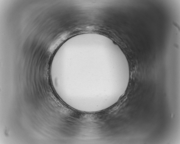 X0000103930341200810031304