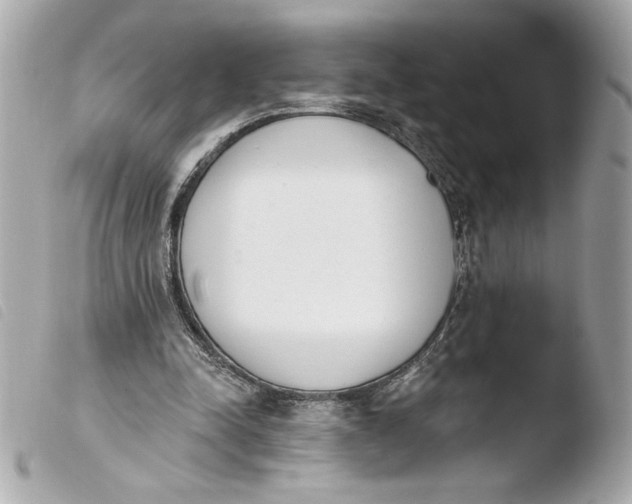 X0000103930342200810031304