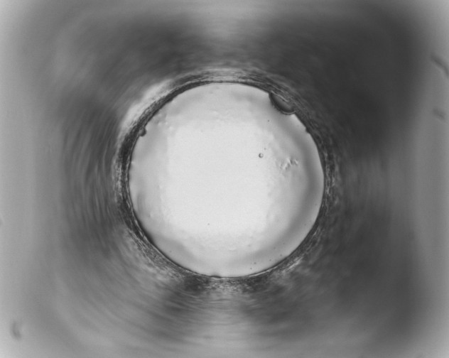 X0000103930343200810031304