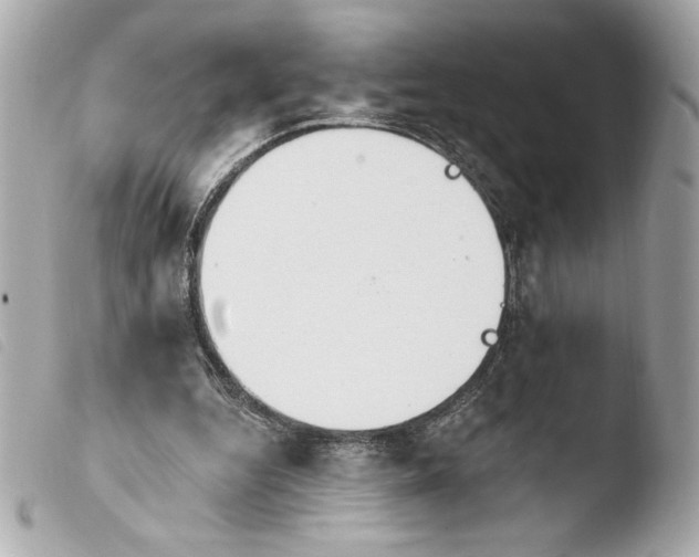 X0000103930344200810031304