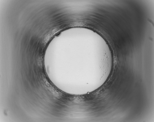 X0000103930345200810031304