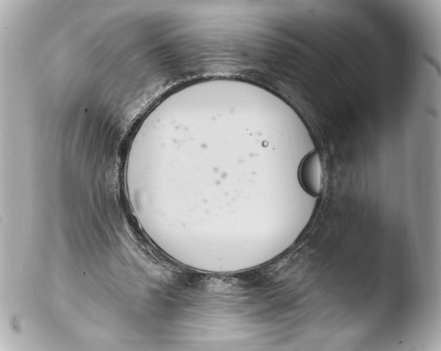 X0000103930346200810031304