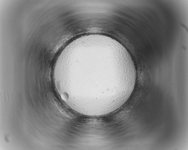 X0000103930347200810031304