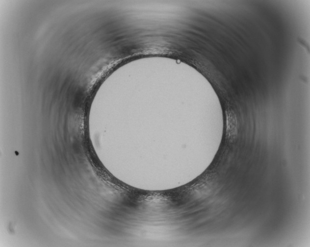 X0000103930348200810031304