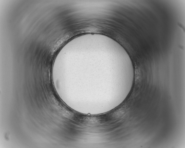 X0000103930349200810031304