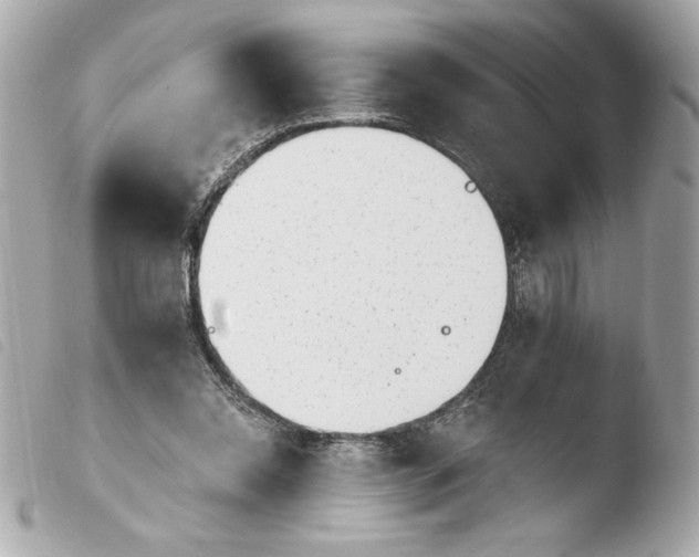 X0000103930350200810031304