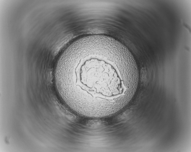 X0000103930351200810031304