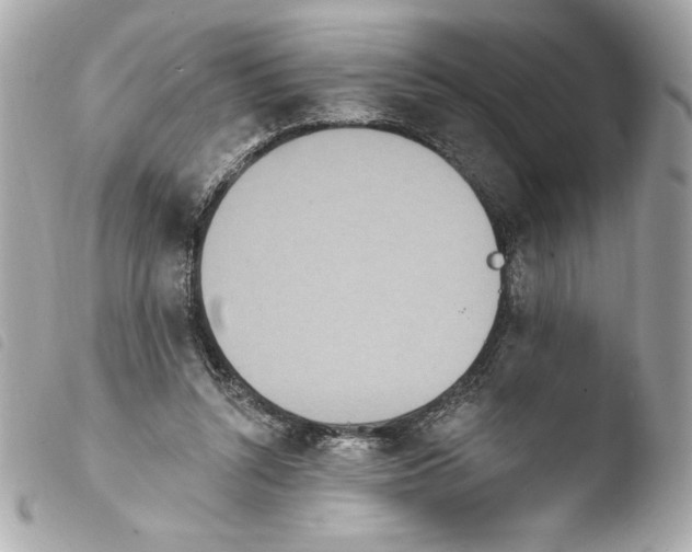 X0000103930352200810031304