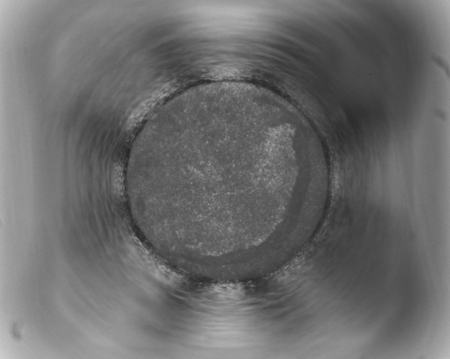 X0000103930353200810031304