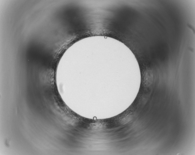 X0000103930356200810031304