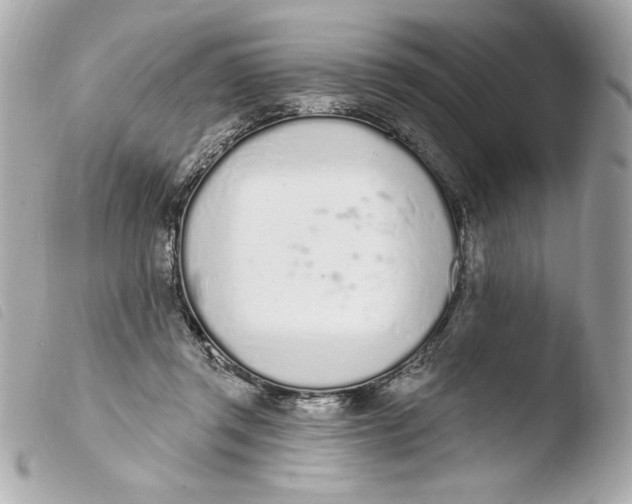 X0000103930357200810031304