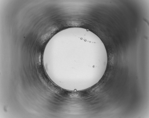 X0000103930358200810031304