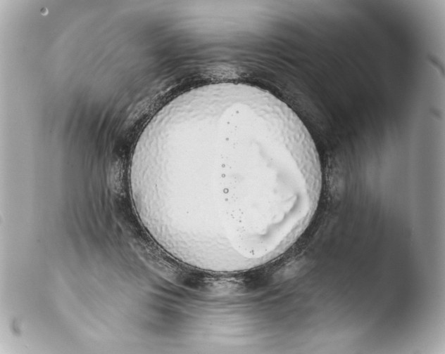 X0000103930359200810031304