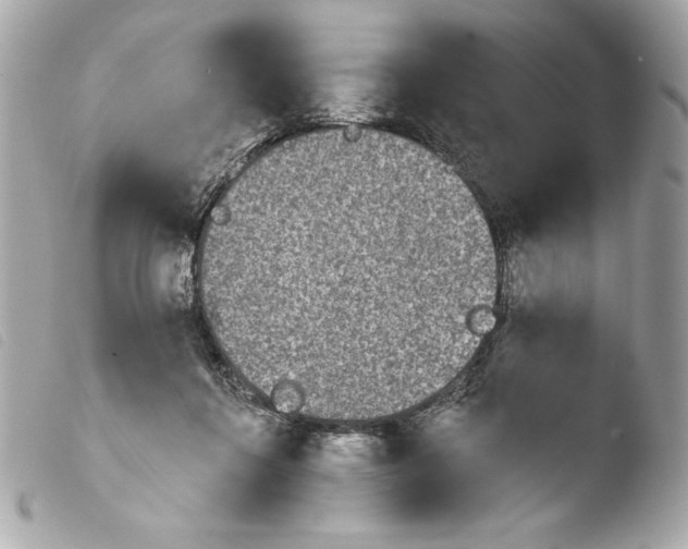 X0000103930360200810031304