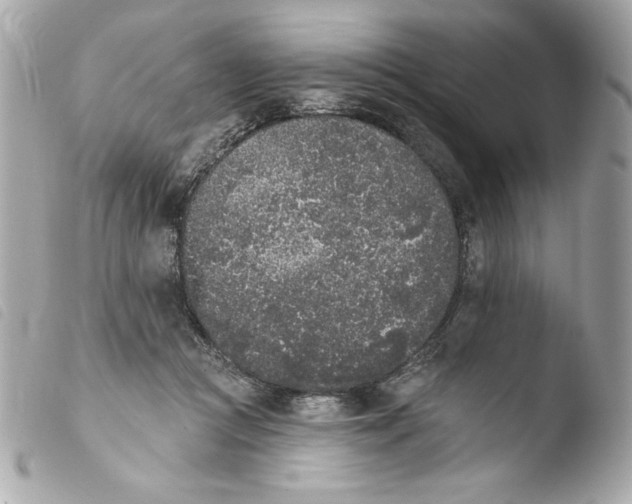 X0000103930361200810031304