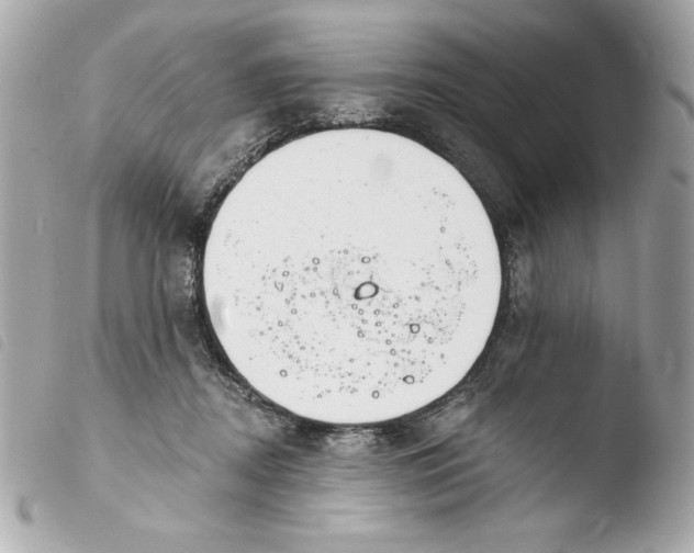 X0000103930362200810031304