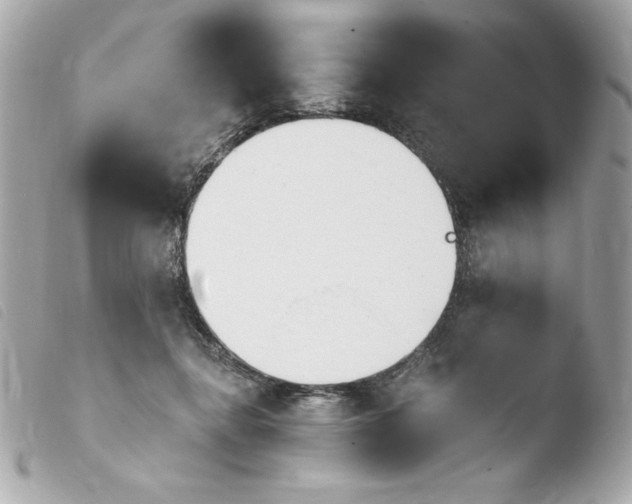 X0000103930364200810031304