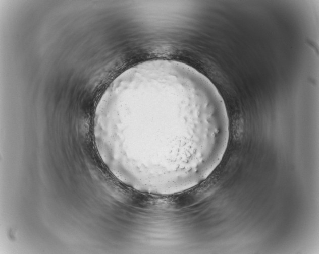 X0000103930365200810031304